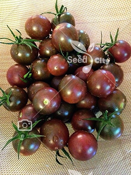 بذر گوجه شکلاتی – Brown Zebra Tomato