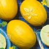بذر خربزه کاناری – Canary Melon