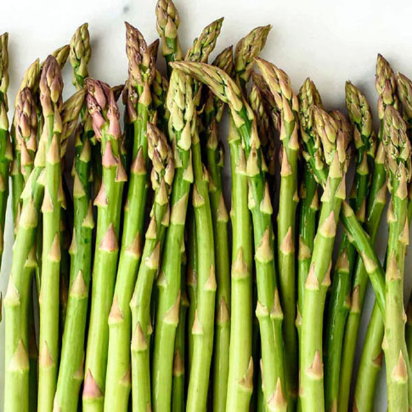 بذر  مارچوبه – Asparagus