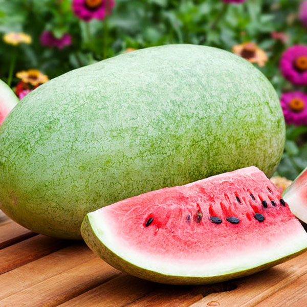 بذر هندوانه چارلستون – Charleston Watermelon