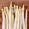 بذر  مارچوبه سفید – White Asparagus