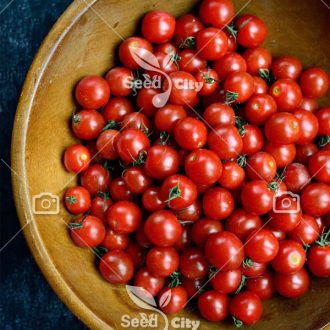 بذر گوجه گیلاسی – Cherry Tomato