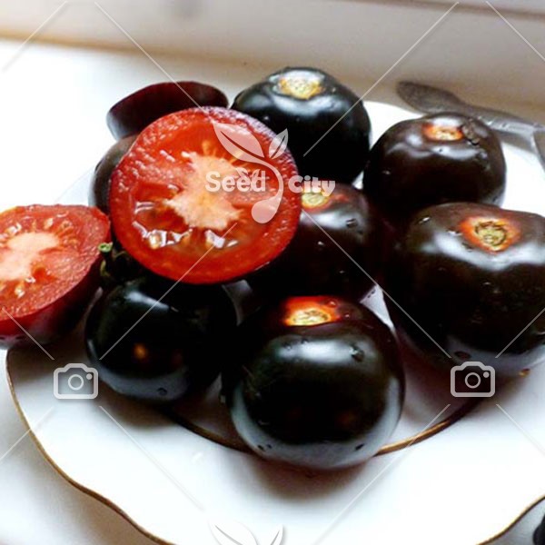 بذر گوجه سیاه – Black Tomato