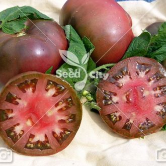 بذر گوجه واین – Brandywinr Tomato