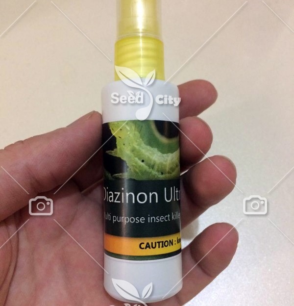 اسپری مخصوص آفات و حشرات – Diazinon Ultra
