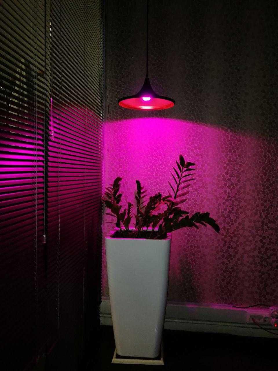 لامپ رشد 30 وات فول اسپکتروم – Grow Light